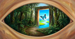 Eye to rainforest and doorway